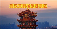 被大鸡吧操到高潮在线观看