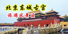 日美女的大逼逼视频中国北京-东城古宫旅游风景区